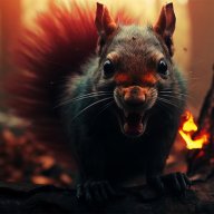 squirrelnet