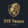 313team